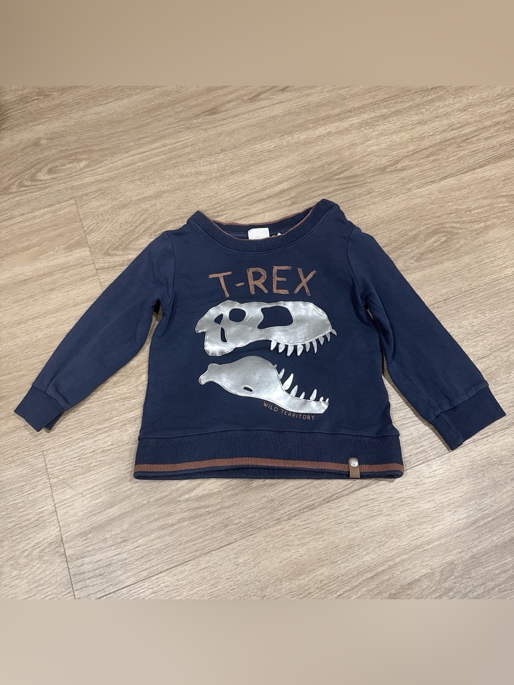 Minymo Kids Navy T-Rex Graphic Pullover Sweatshirt 24m